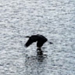 Meet your Posher, Sabrina